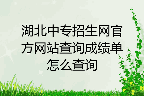 湖北中专招生网官方网站查询成绩单怎么查询