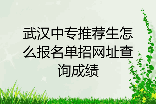 武汉中专推荐生怎么报名单招网址查询成绩