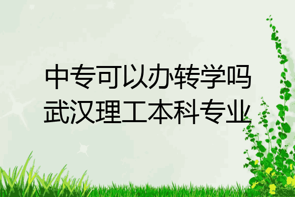 中专可以办转学吗武汉理工本科专业