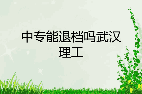 中专能退档吗武汉理工