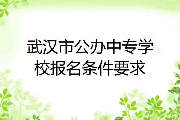 武汉市公办中专学校报名条件要求