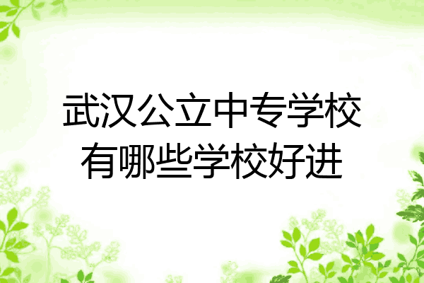武汉公立中专学校有哪些学校好进