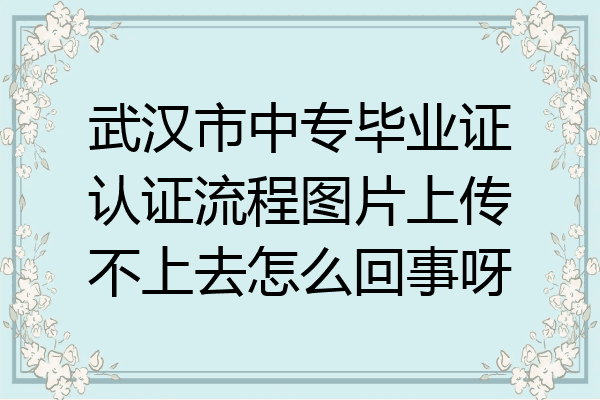 武汉市中专毕业证认证流程图片上传不上去怎么回事呀