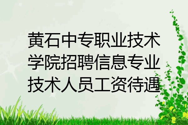 黄石中专职业技术学院招聘信息专业技术人员工资待遇