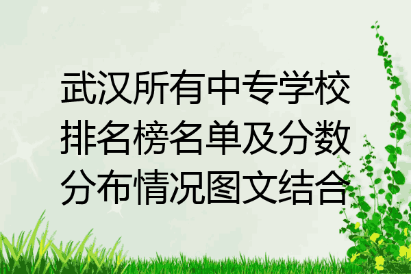 武汉所有中专学校排名榜名单及分数分布情况图文结合