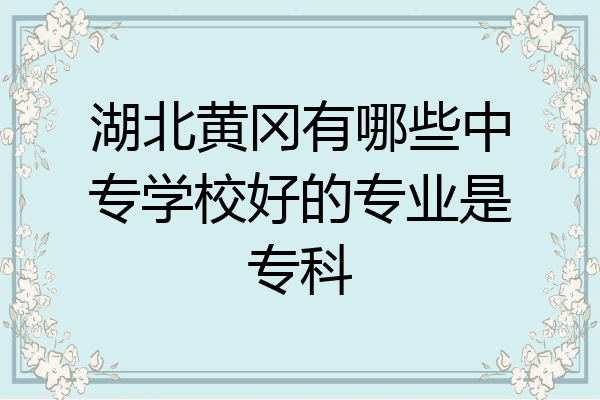 湖北黄冈有哪些中专学校好的专业是专科