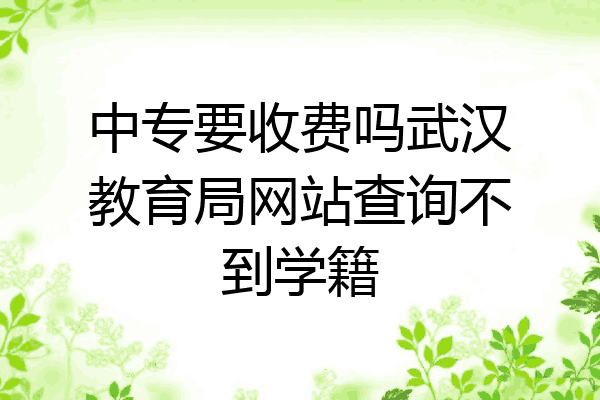 中专要收费吗武汉教育局网站查询不到学籍