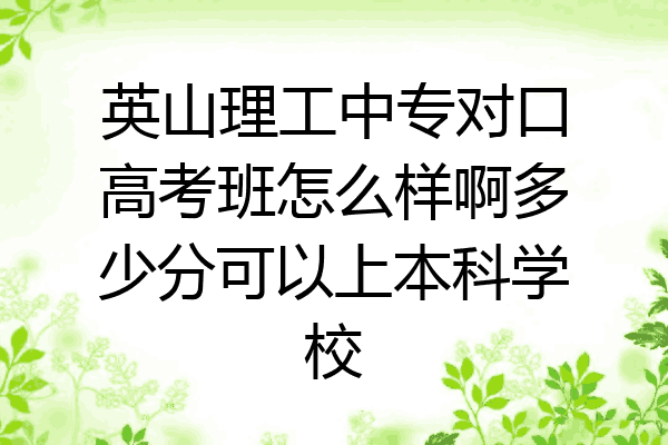 英山理工中专对口高考班怎么样啊多少分可以上本科学校