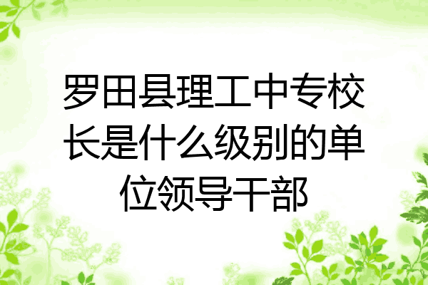 罗田县理工中专校长是什么级别的单位领导干部