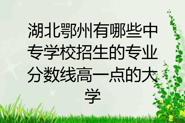 湖北鄂州有哪些中专学校招生的专业分数线高一点的大学