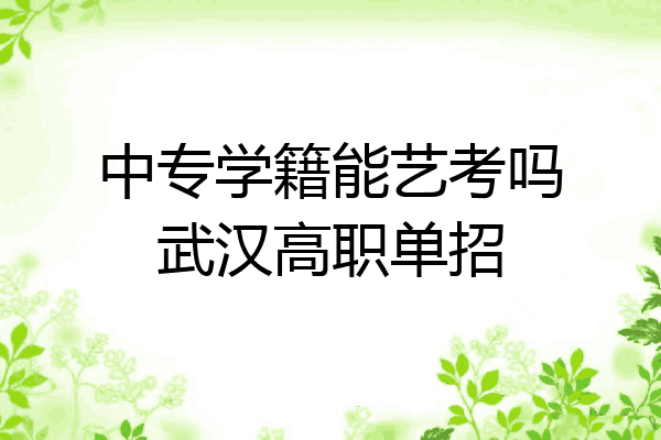 中专学籍能艺考吗武汉高职单招