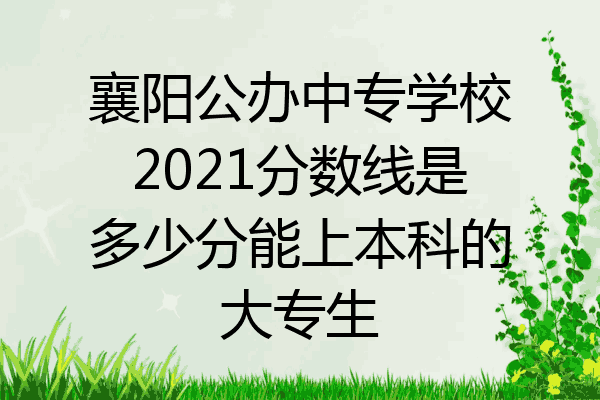 襄阳公办中专学校2021分数线是多少分能上本科的大专生