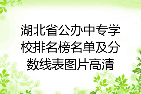 湖北省公办中专学校排名榜名单及分数线表图片高清