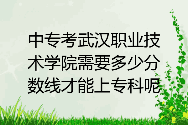 中专考武汉职业技术学院需要多少分数线才能上专科呢