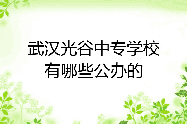 武汉光谷中专学校有哪些公办的