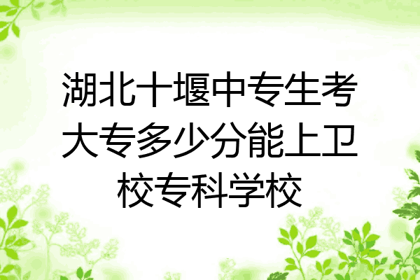 湖北十堰中专生考大专多少分能上卫校专科学校