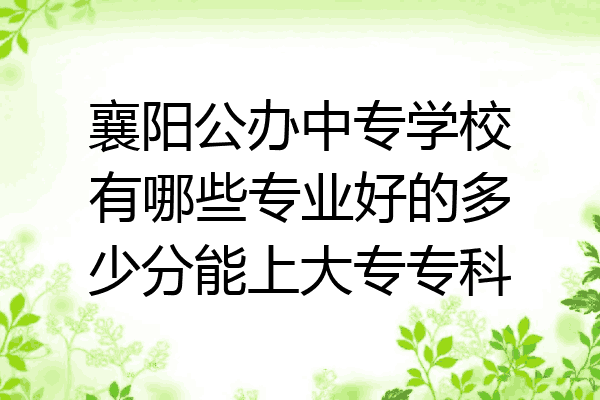 襄阳公办中专学校有哪些专业好的多少分能上大专专科