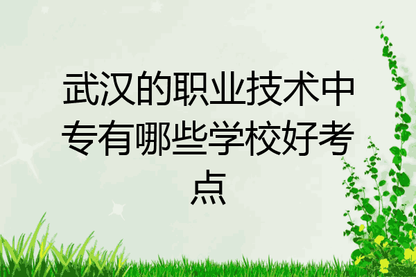 武汉的职业技术中专有哪些学校好考点