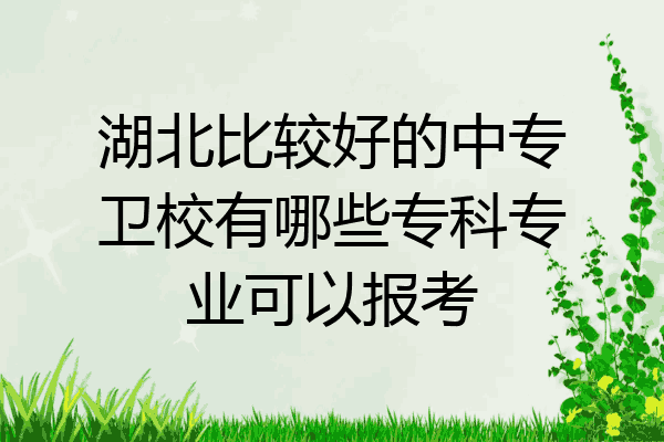 湖北比较好的中专卫校有哪些专科专业可以报考