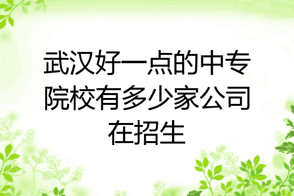 武汉好一点的中专院校有多少家公司在招生