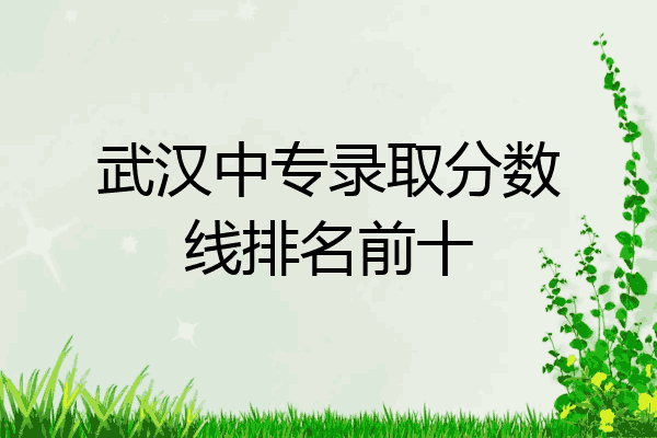 武汉中专录取分数线排名前十