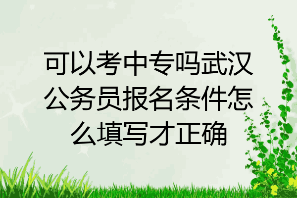 可以考中专吗武汉公务员报名条件怎么填写才正确