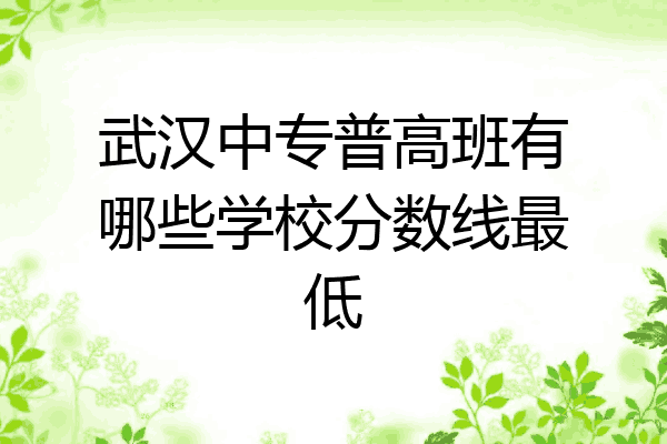武汉中专普高班有哪些学校分数线最低