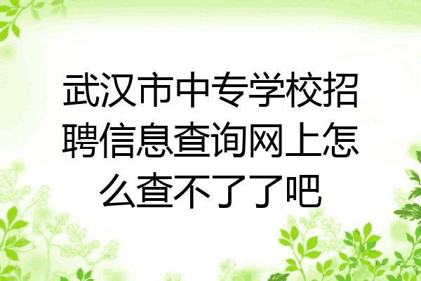 武汉市中专学校招聘信息查询网上怎么查不了了吧