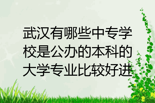 武汉有哪些中专学校是公办的本科的大学专业比较好进
