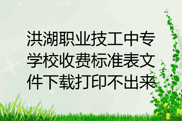 洪湖职业技工中专学校收费标准表文件下载打印不出来
