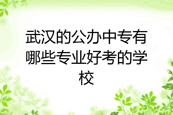 武汉的公办中专有哪些专业好考的学校
