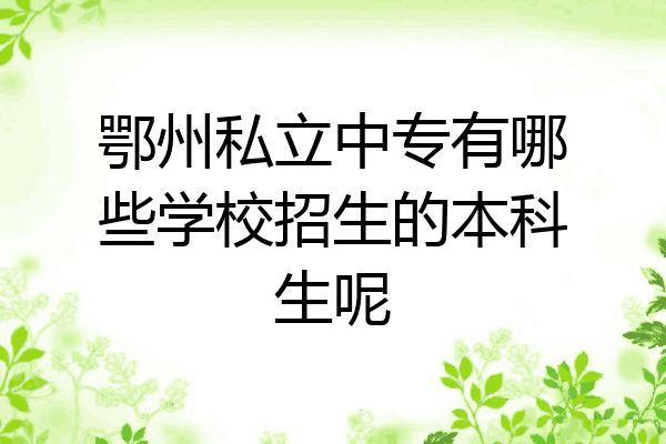 鄂州私立中专有哪些学校招生的本科生呢