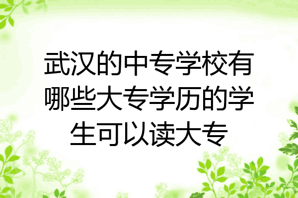 武汉的中专学校有哪些大专学历的学生可以读大专