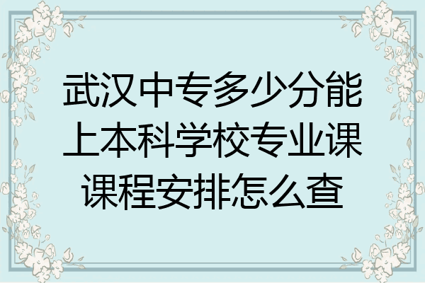 武汉中专多少分能上本科学校专业课课程安排怎么查