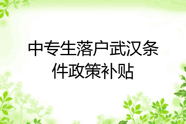 中专生落户武汉条件政策补贴