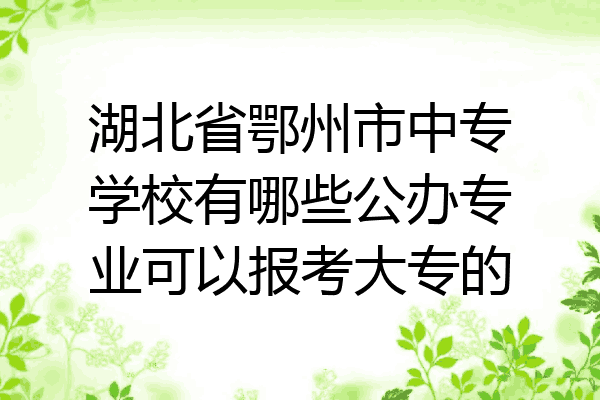 湖北省鄂州市中专学校有哪些公办专业可以报考大专的