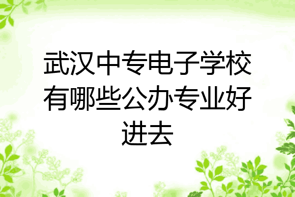 武汉中专电子学校有哪些公办专业好进去