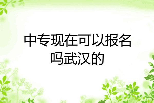 中专现在可以报名吗武汉的