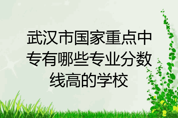 武汉市国家重点中专有哪些专业分数线高的学校