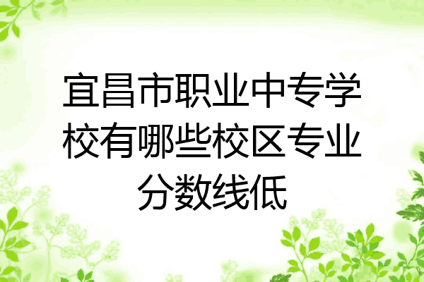 宜昌市职业中专学校有哪些校区专业分数线低