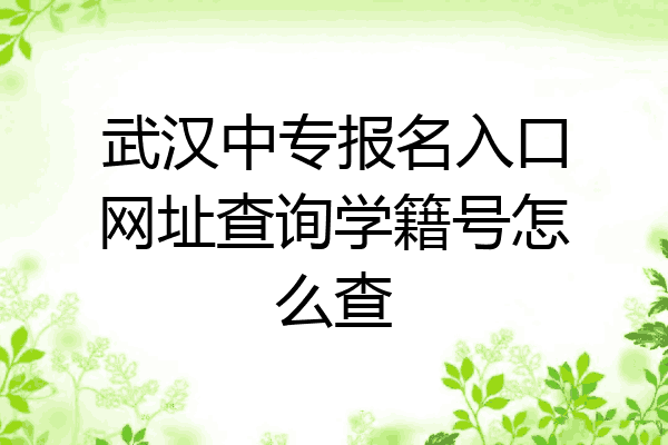 武汉中专报名入口网址查询学籍号怎么查