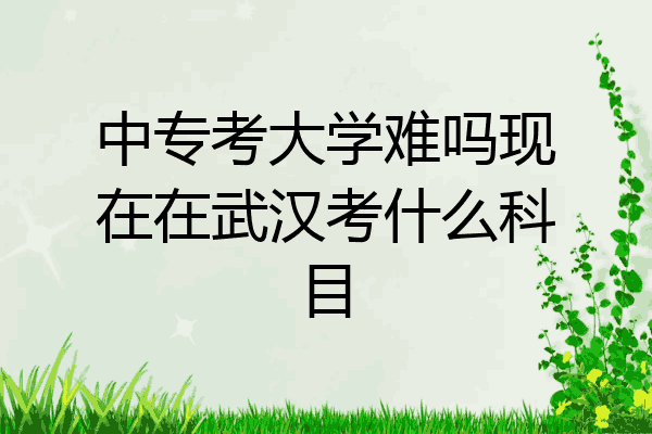中专考大学难吗现在在武汉考什么科目