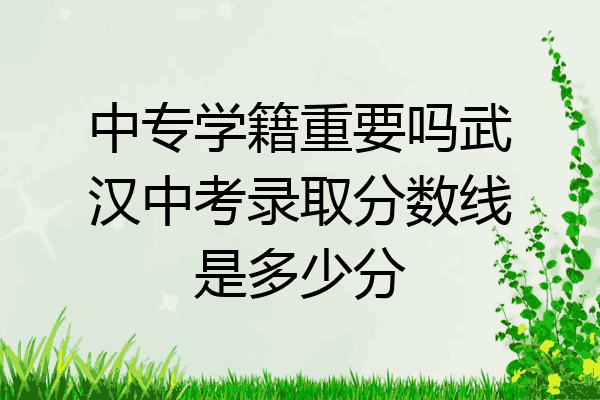 中专学籍重要吗武汉中考录取分数线是多少分
