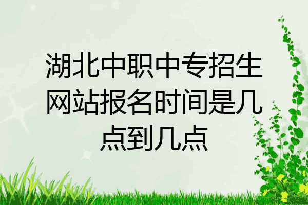 湖北中职中专招生网站报名时间是几点到几点