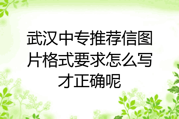 武汉中专推荐信图片格式要求怎么写才正确呢