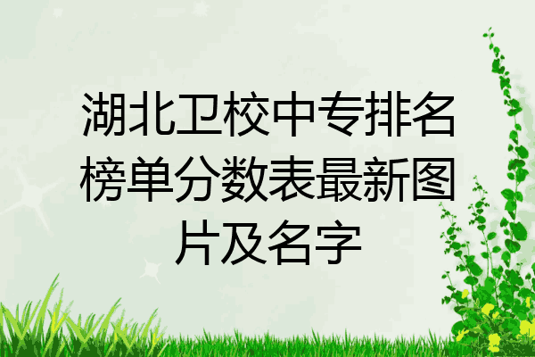 湖北卫校中专排名榜单分数表最新图片及名字
