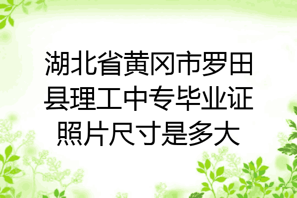 湖北省黄冈市罗田县理工中专毕业证照片尺寸是多大