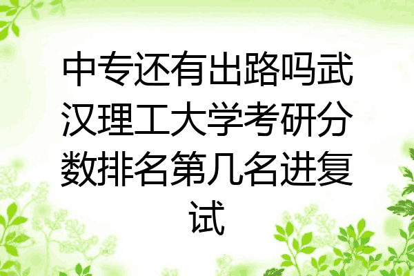 中专还有出路吗武汉理工大学考研分数排名第几名进复试