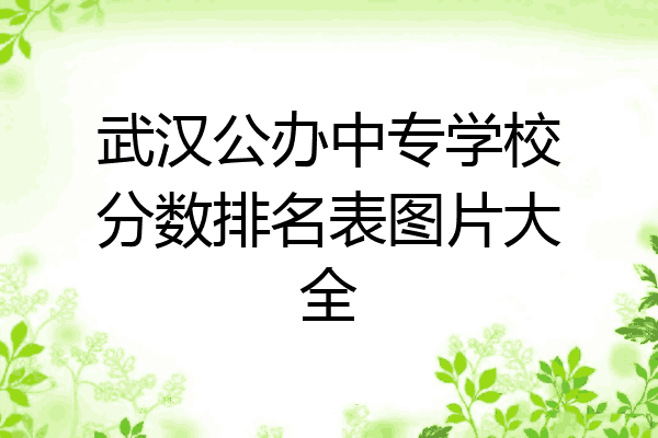 武汉公办中专学校分数排名表图片大全