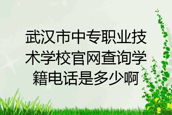 武汉市中专职业技术学校官网查询学籍电话是多少啊